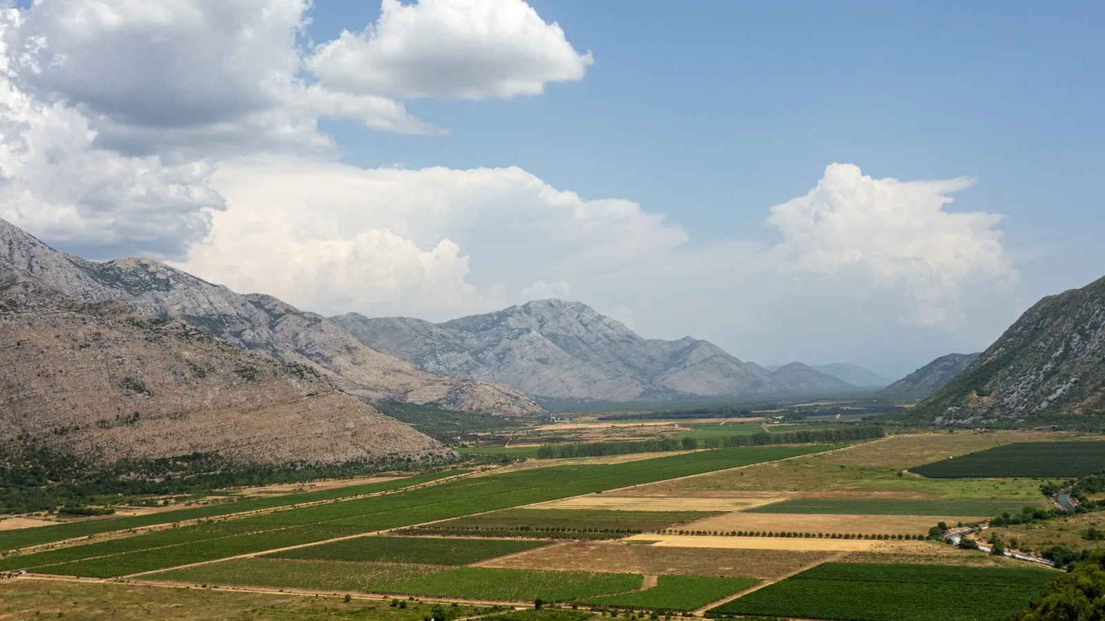 Les vins d'Herzégovine — Une surprise méditerranéenne