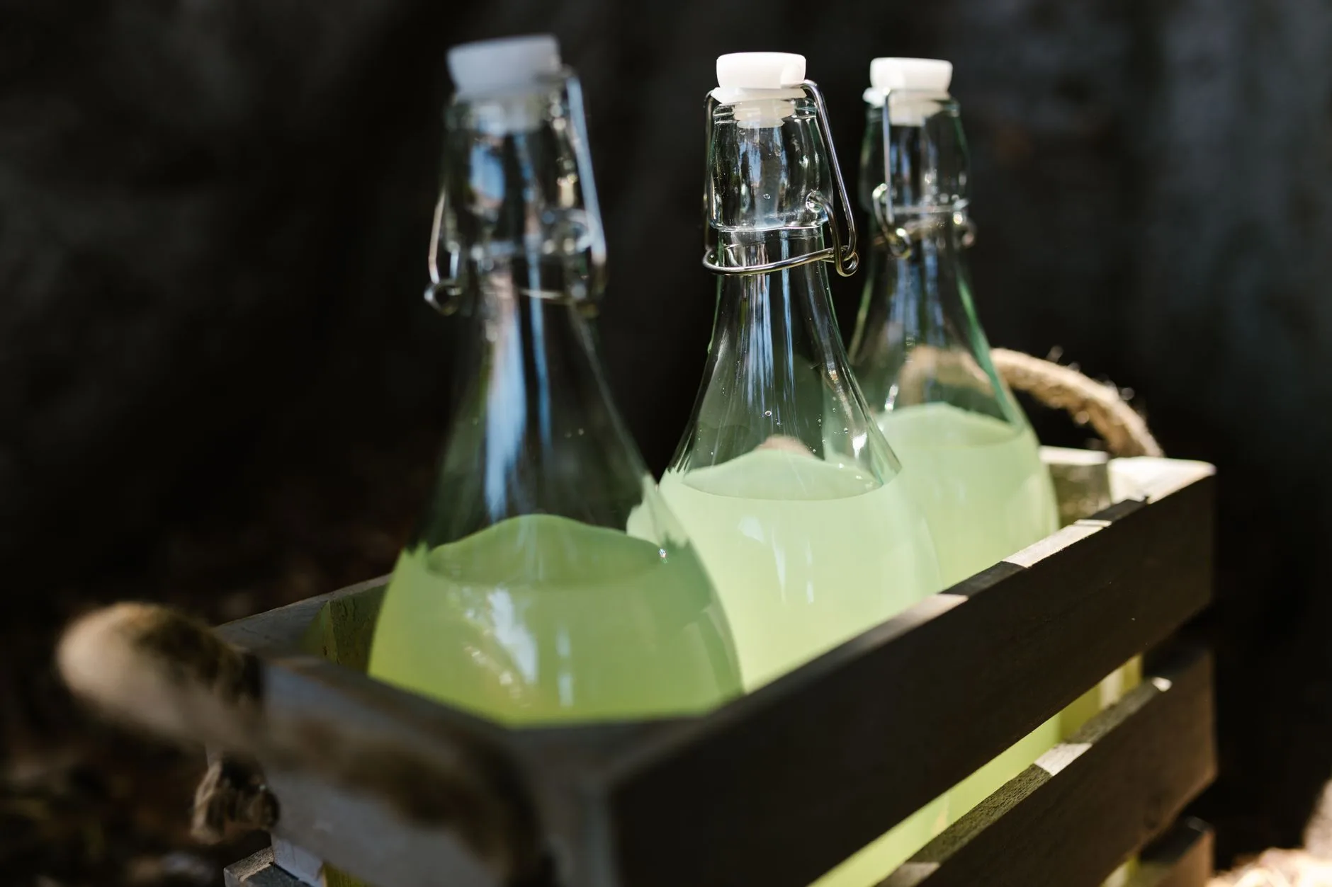 Verres de rakija bosnienne sur une table en bois avec fruits secs