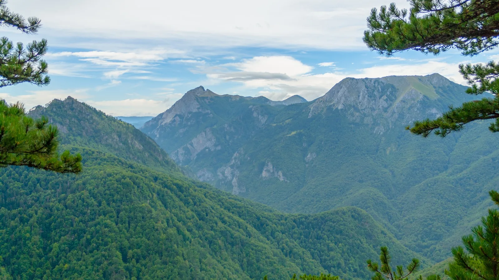Le parc national de Sutjeska